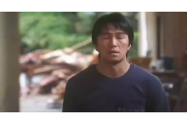 大祥要账公司更多成功案例详情